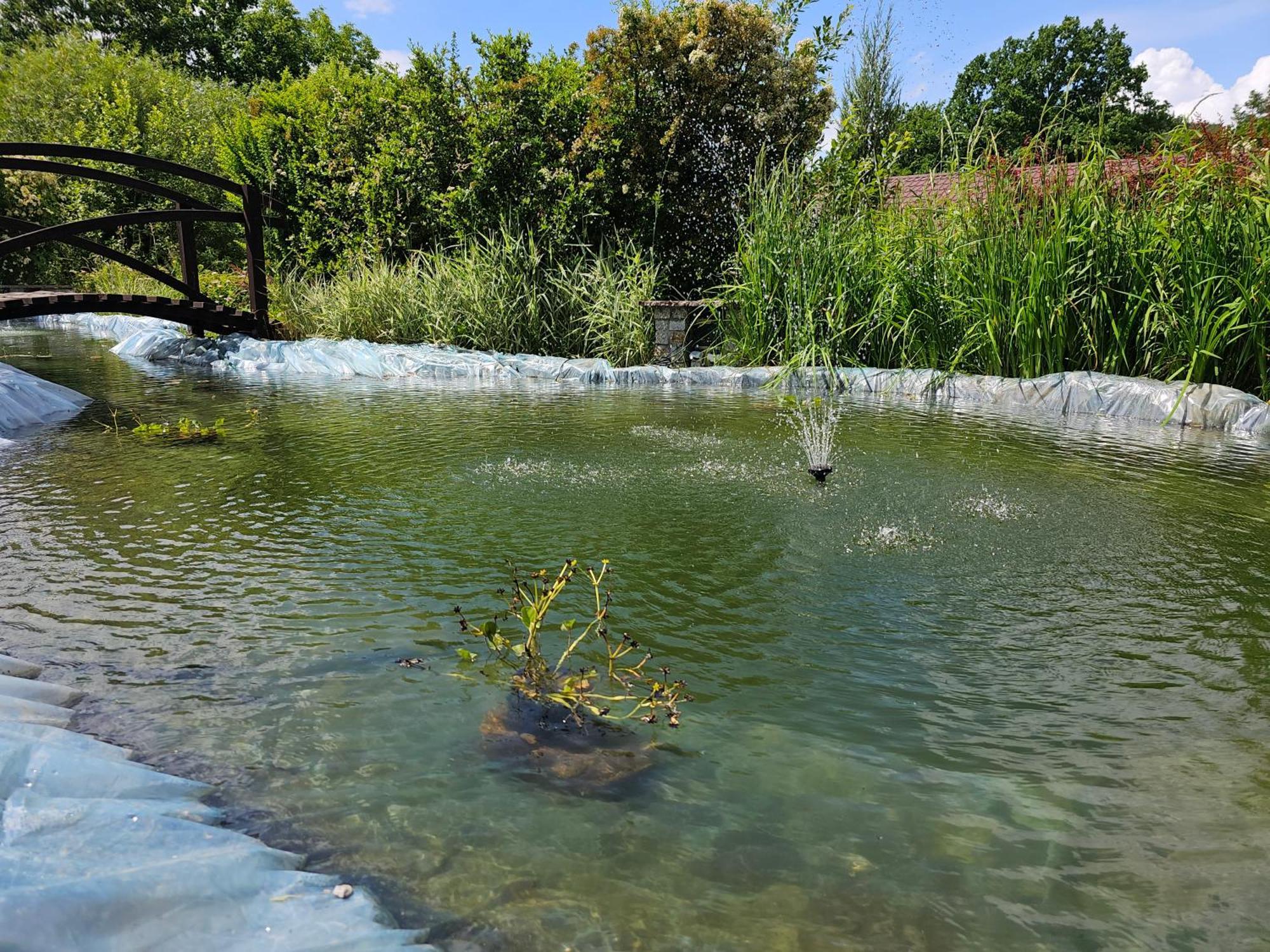 Chata Nad Sztolnia Bystrzyca Górna Buitenkant foto